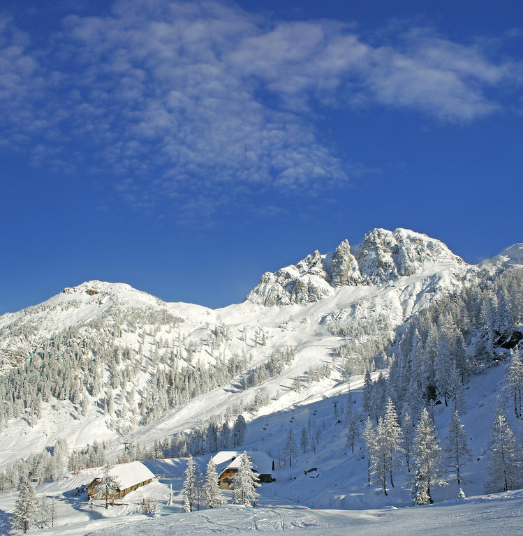 Pension Zum Schreiner Hermagor-Pressegger See Bagian luar foto