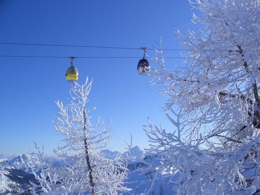 Pension Zum Schreiner Hermagor-Pressegger See Bagian luar foto